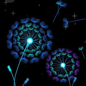 Meet your Posher, Judy